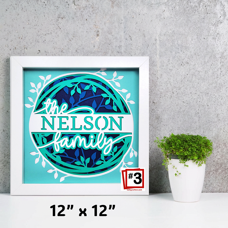 Framed artwork with 'the NELSON family' text on a gray wall with a plant.